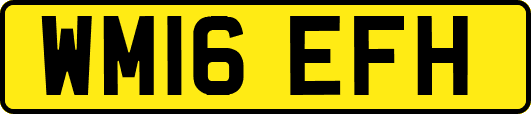 WM16EFH