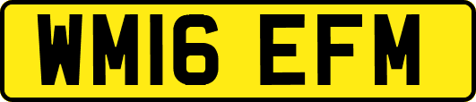 WM16EFM