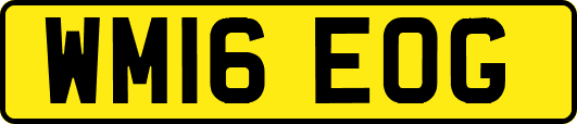 WM16EOG