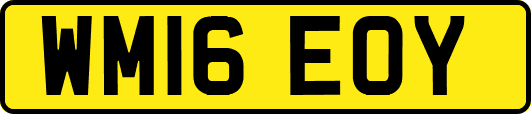 WM16EOY