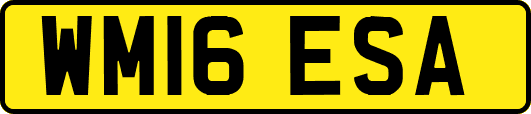 WM16ESA