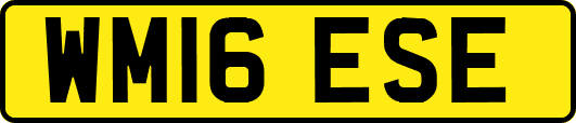 WM16ESE