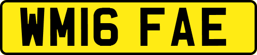 WM16FAE