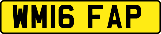 WM16FAP
