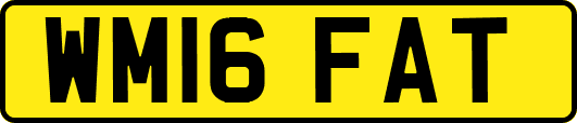 WM16FAT