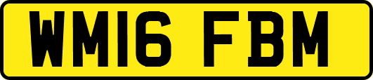 WM16FBM