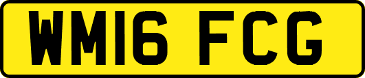 WM16FCG