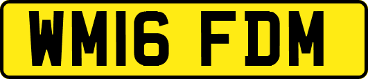 WM16FDM