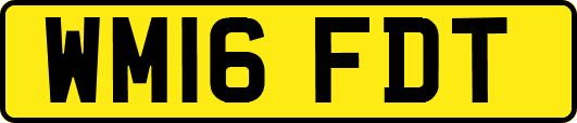 WM16FDT