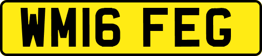 WM16FEG