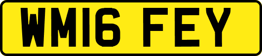WM16FEY