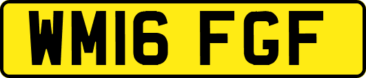 WM16FGF