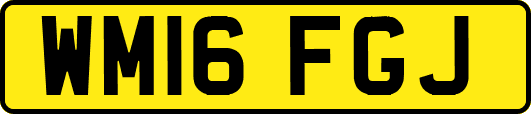 WM16FGJ