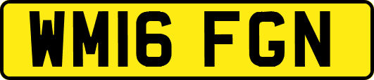 WM16FGN