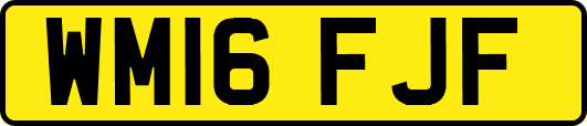 WM16FJF