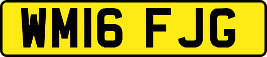 WM16FJG