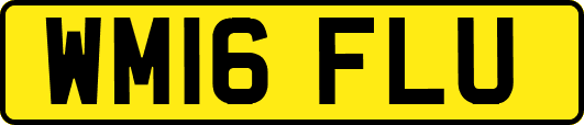 WM16FLU