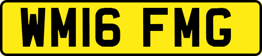 WM16FMG