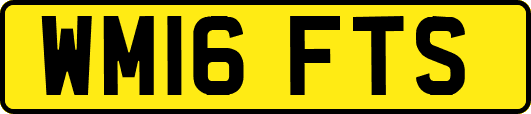 WM16FTS
