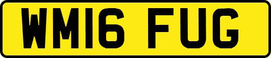 WM16FUG