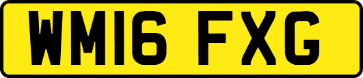 WM16FXG