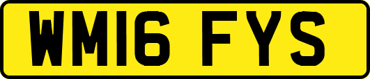 WM16FYS