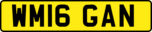 WM16GAN