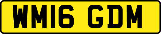 WM16GDM