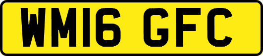 WM16GFC