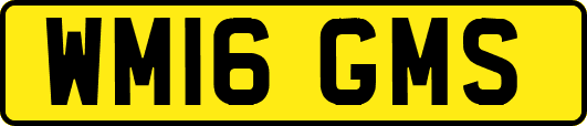 WM16GMS