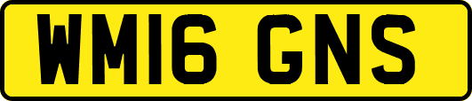 WM16GNS