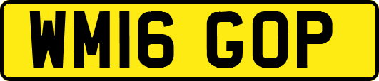 WM16GOP