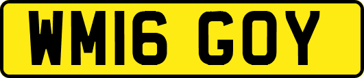 WM16GOY