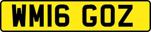 WM16GOZ