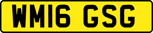 WM16GSG