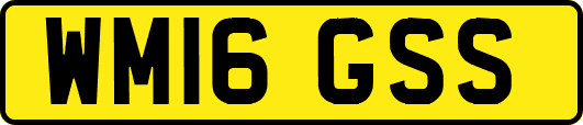 WM16GSS