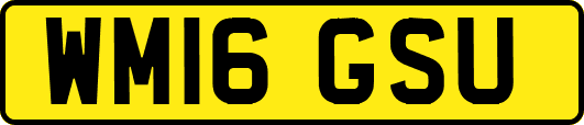 WM16GSU