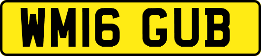 WM16GUB