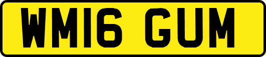 WM16GUM