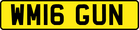 WM16GUN