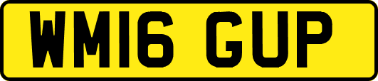 WM16GUP