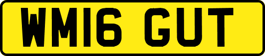 WM16GUT