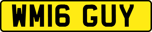 WM16GUY