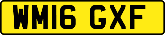 WM16GXF