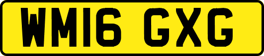 WM16GXG