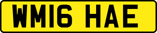 WM16HAE