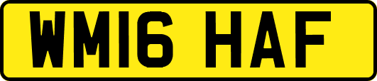 WM16HAF