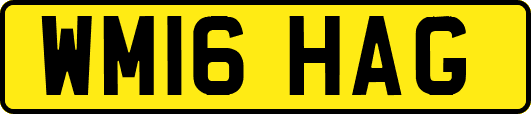 WM16HAG