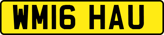 WM16HAU
