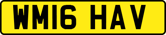 WM16HAV